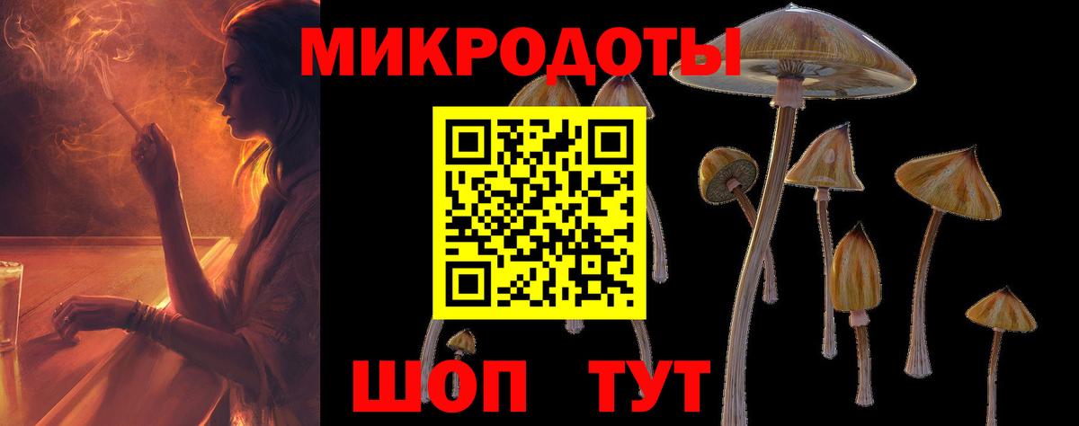 Кириши  Псилоцибиновые грибы Cubensis  Вход с VPN 